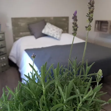 Elteixorural Teijois