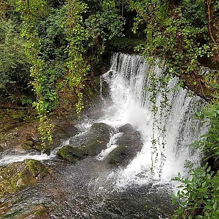Alojamento de Turismo Selvagem Elteixorural Teijois